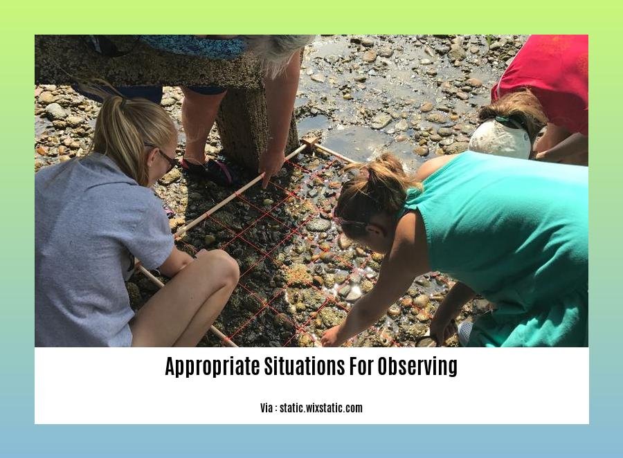 appropriate situations for observing
