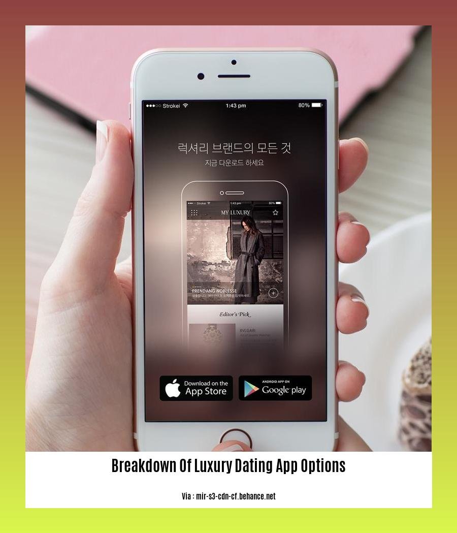 breakdown of luxury dating app options