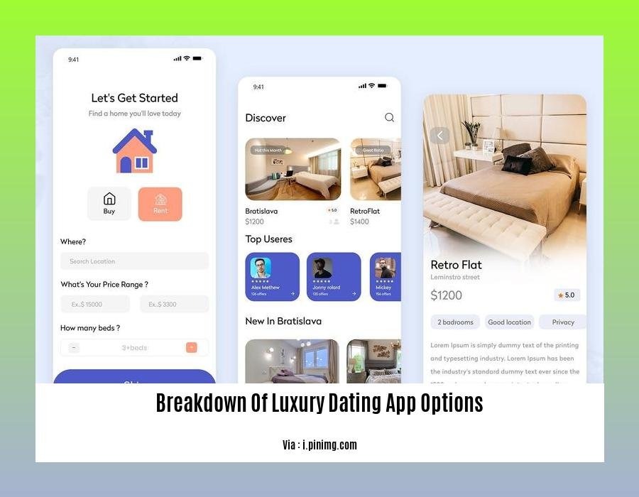 breakdown of luxury dating app options