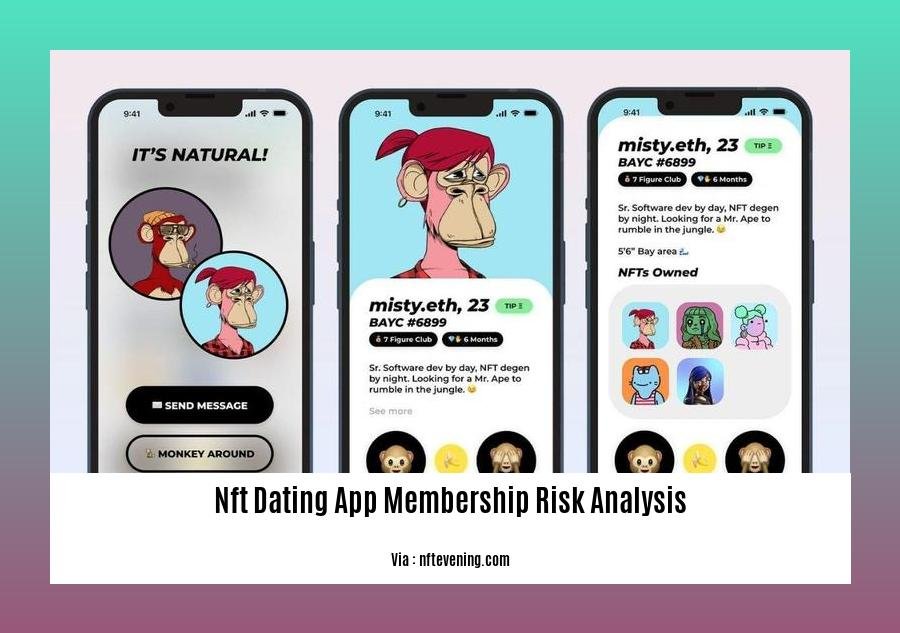 nft dating app membership risk analysis